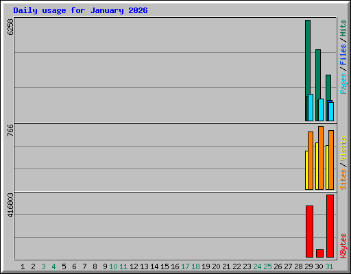 Daily usage for January 2026