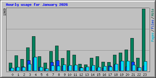 Hourly usage for January 2026